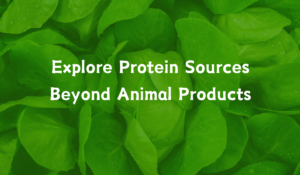 Plant-based protein sources