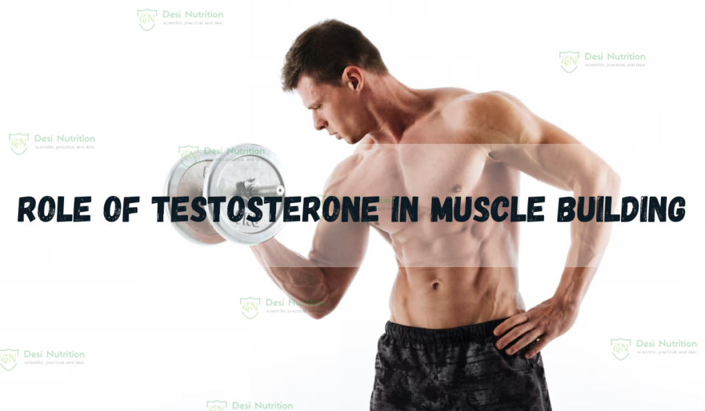 Role of Testosterone in Muscle Building