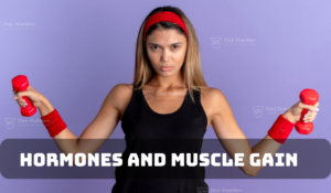 Hormones and muscle gain