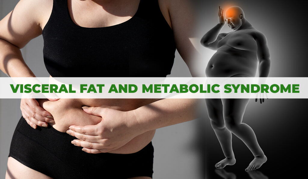 visceral fat and metabolic system